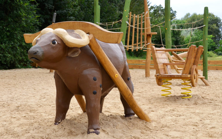 Water buffalo on the playground Berlin 1 768x480