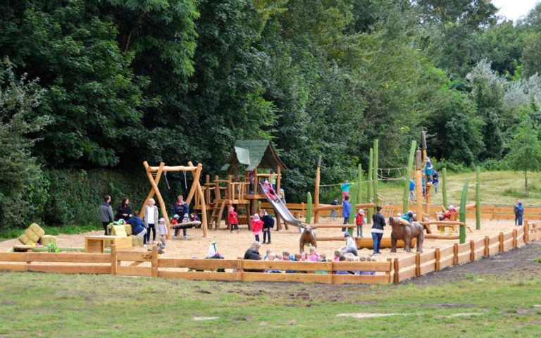 Water buffalo on the playground Berlin 3 768x480