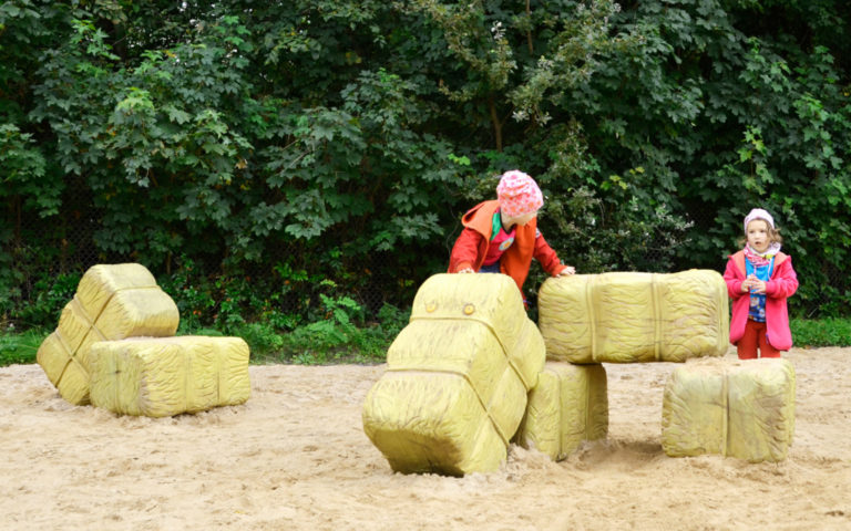 Water buffalo on the playground Berlin 8 768x480