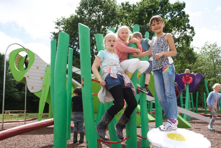 Grasshopper playground 3 768x513