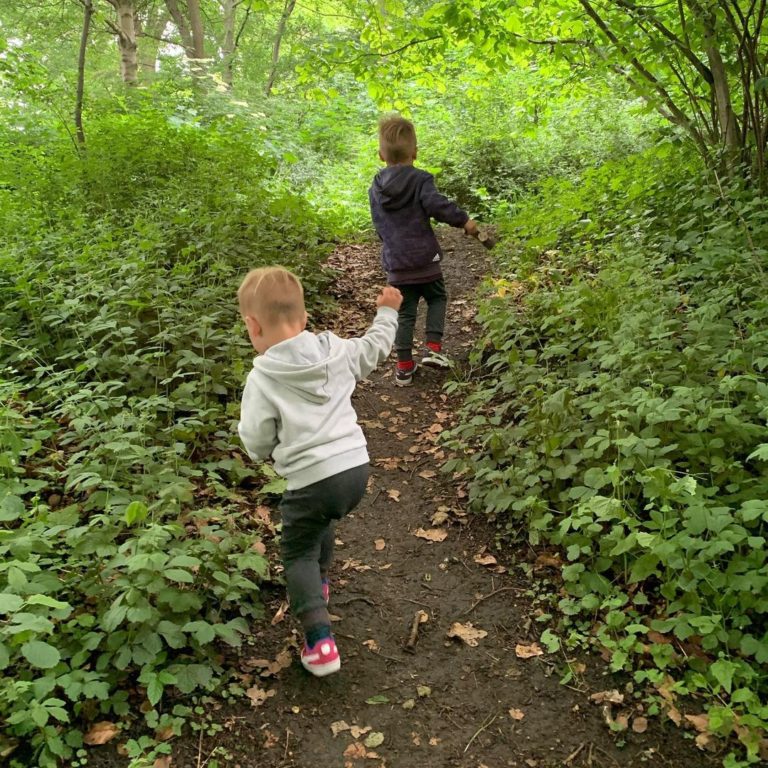 Vildnisset Traeningsplads 3 768x768