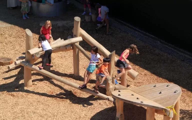 IMG 9665 jpg 768x480