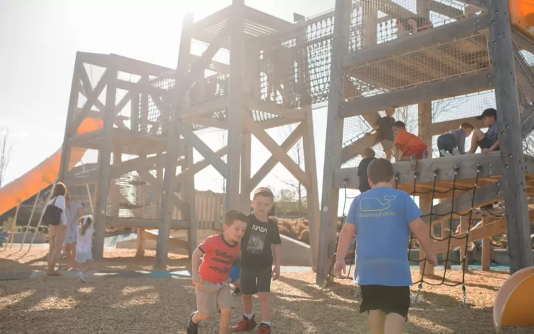 houston natural playground triple towers net bridges tube slides net rope climbing ladders 1080x675 1 jpg 768x480