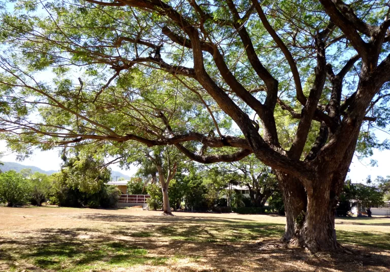 bedford street scaled 768x535