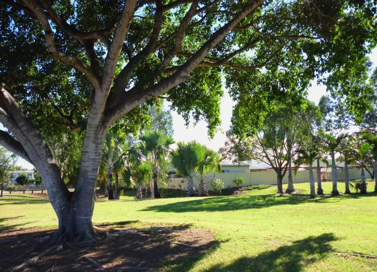 doblo park scaled 768x554