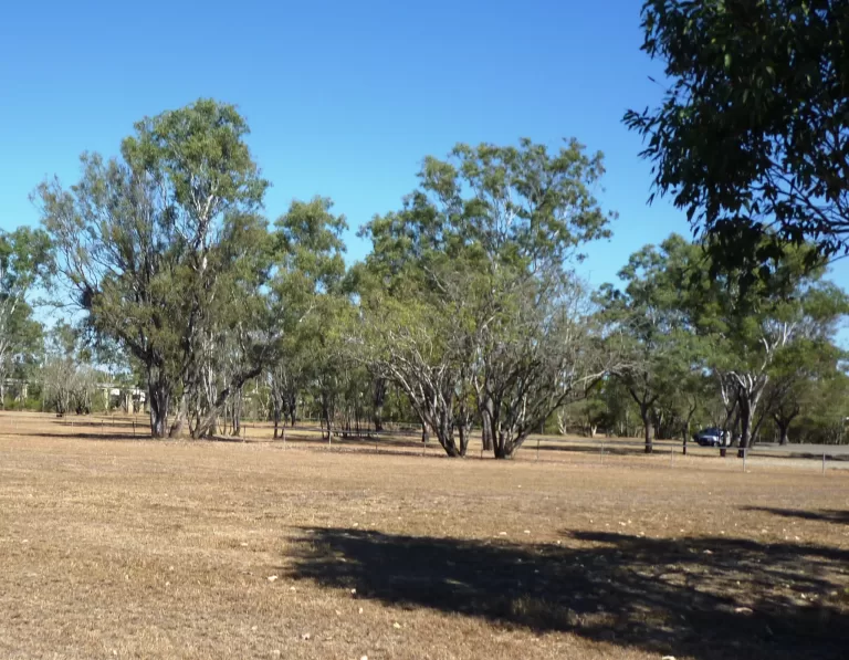 ergon park scaled 768x597