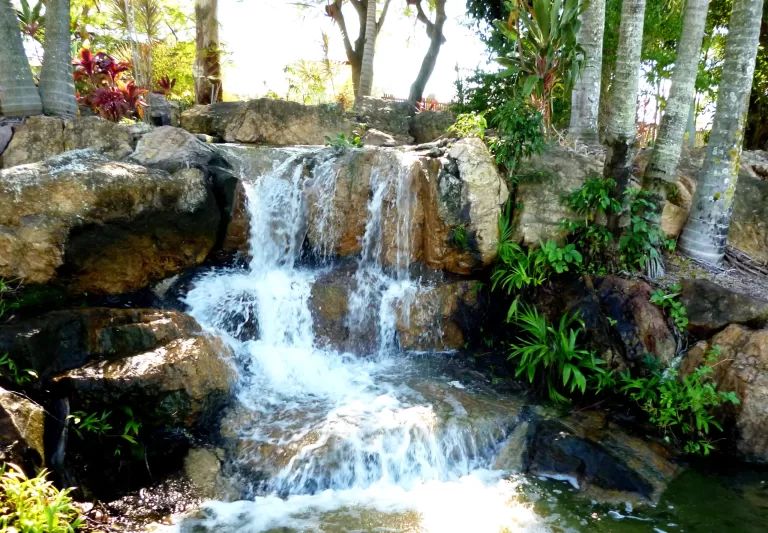 frank forde park 1 scaled 768x533