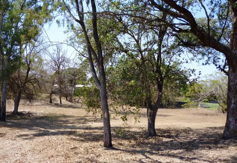 harman street scaled 768x530