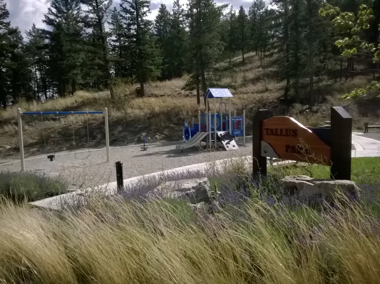 tallus playground 768x574