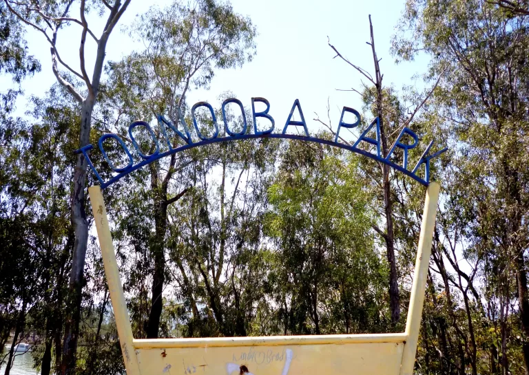 toonooba park scaled 768x545