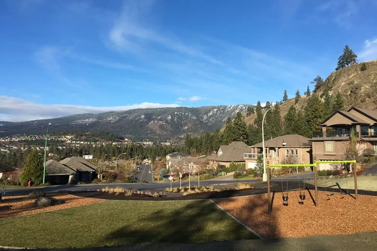 vineyard playground 768x512