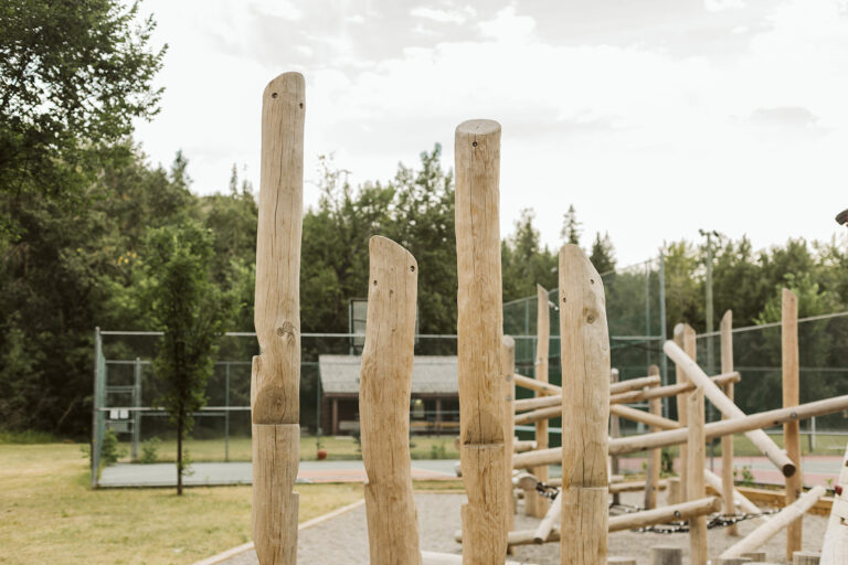 Roxboro ParknPlay MariahLeeStudios 5398 768x512