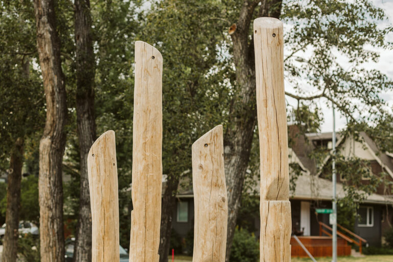 Roxboro ParknPlay MariahLeeStudios 5402 768x512